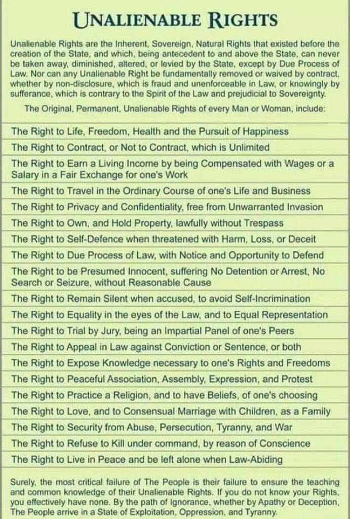 your_unalienable_rights.jpg