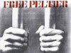 freepeltierbars_small.jpg freepeltierbars_small.jpg