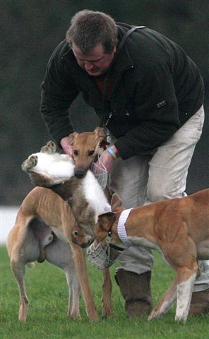 The Gentle Side to Bloodsports in Ireland!