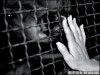 zoos, outdated, unnecessary. zoos, outdated, unnecessary.