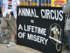 duffys_circusdogs_011.jpg duffys_circusdogs_011.jpg