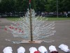 Tree of Remembrance for Gaza & our recently deceased friends on the Flotilla Tree of Remembrance for Gaza & our recently deceased friends on the Flotilla