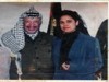 Jihan El- Sersawy  Jihan El- Sersawy