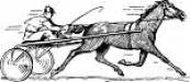 Sulkie horse beaten Sulkie horse beaten