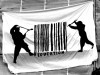 Breaking the Barcodes Breaking the Barcodes