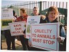 Calling for  ban on hare coursing in Ireland... Calling for  ban on hare coursing in Ireland...