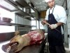 The fate of many an Irish greyhound... The fate of many an Irish greyhound...