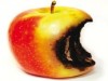rotton_apple.jpg rotton_apple.jpg